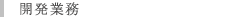 SAP,People Soft開発業務